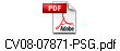 CV08-07871-PSG.pdf