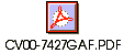 CV00-7427GAF.PDF
